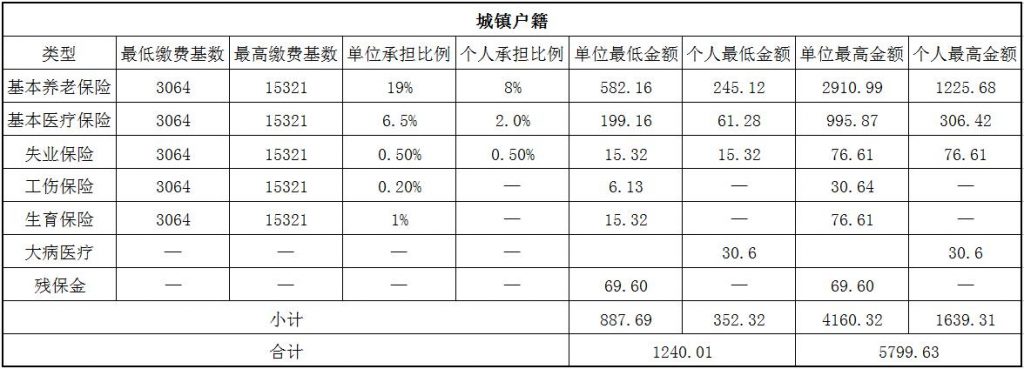 芜湖社保代缴 第1张