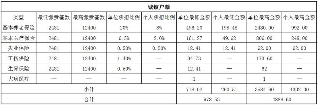 阜新社保代缴 第1张