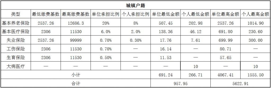 辽源社保代缴 第1张