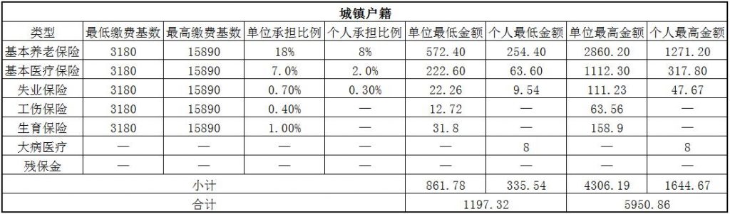 枣庄社保代缴 第1张